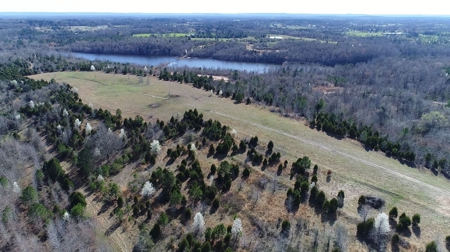569.4 Acres Tract #15 Summit Chase Farms Auction - image 12