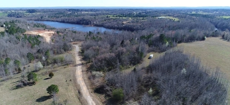 569.4 Acres Tract #15 Summit Chase Farms Auction - image 10