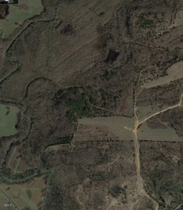 569.4 Acres Tract #15 Summit Chase Farms Auction - image 3