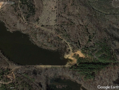 569.4 Acres Tract #15 Summit Chase Farms Auction - image 1