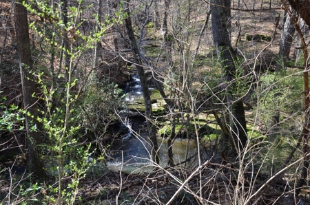 Home on 1 Acre Tract #16 Summit Chase Farms Auction - image 13