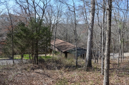 Home on 1 Acre Tract #16 Summit Chase Farms Auction - image 5