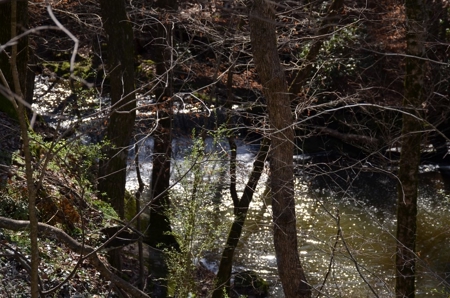 Home on 1 Acre Tract #16 Summit Chase Farms Auction - image 18
