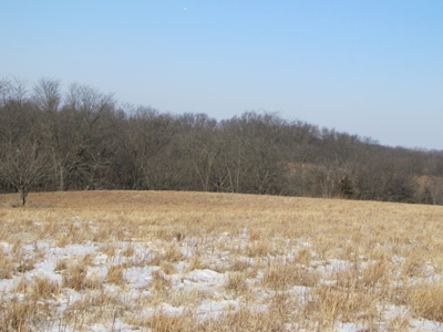 Mo Farmland, Hunting, Scotland Co Mo, Income Property - image 1