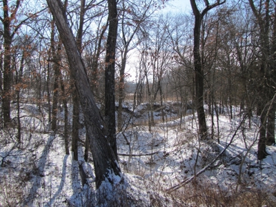 Mo Farmland, Hunting, Scotland Co Mo, Income Property - image 11