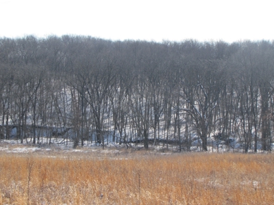 Mo Farmland, Hunting, Scotland Co Mo, Income Property - image 10