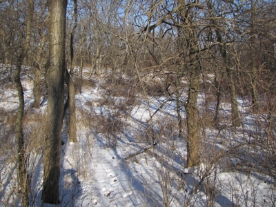 Mo Farmland, Hunting, Scotland Co Mo, Income Property - image 13