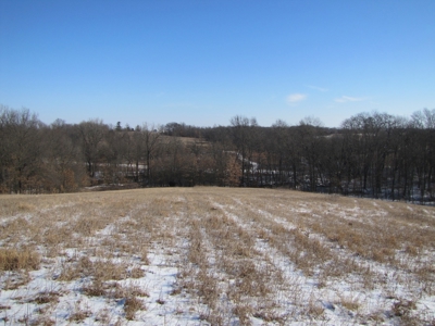 Mo Farmland, Hunting, Scotland Co Mo, Income Property - image 3