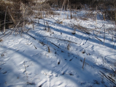 19 Acres Recreational Land For Sale, Land Auction - image 6