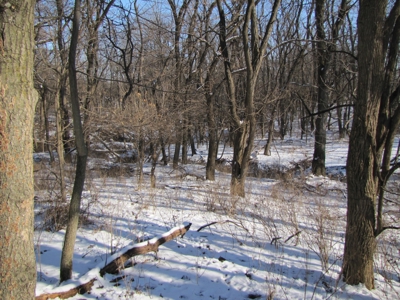 14 Surveyed Acres Mo Small Acreage, Build Site, Pond - image 3