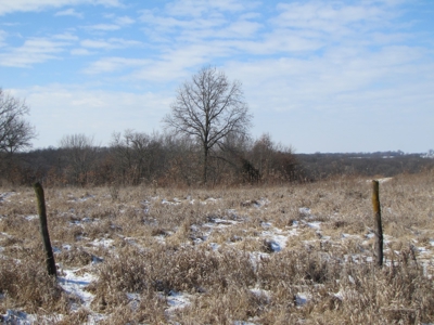 14 Surveyed Acres Mo Small Acreage, Build Site, Pond - image 2