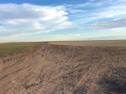 Bette Dolfi Trust Auction - Cheyenne Co. Farmland for Sale - image 11