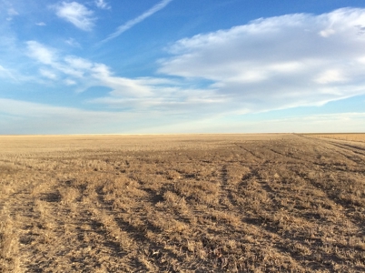 Bette Dolfi Trust Auction - Cheyenne Co. Farmland for Sale - image 9