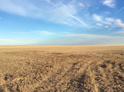 Bette Dolfi Trust Auction - Cheyenne Co. Farmland for Sale - image 8