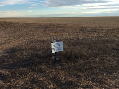 Bette Dolfi Trust Auction - Cheyenne Co. Farmland for Sale - image 10