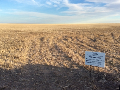 Bette Dolfi Trust Auction - Cheyenne Co. Farmland for Sale - image 5