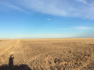 Bette Dolfi Trust Auction - Cheyenne Co. Farmland for Sale - image 7