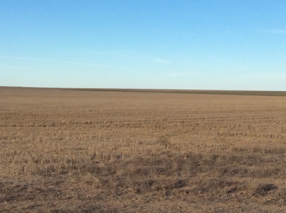 Bette Dolfi Trust Auction - Cheyenne Co. Farmland for Sale - image 1