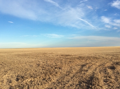 Bette Dolfi Trust Auction - Cheyenne Co. Farmland for Sale - image 6