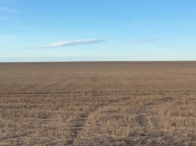 Bette Dolfi Trust Auction - Cheyenne Co. Farmland for Sale - image 2