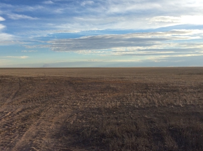 Bette Dolfi Trust Auction - Cheyenne Co. Farmland for Sale - image 12