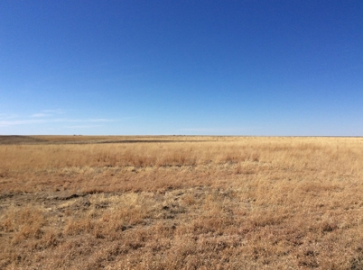 Bette Dolfi Trust Auction - Cheyenne County Farmland - image 3