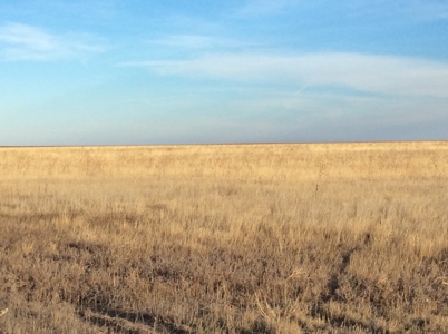 Bette Dolfi Trust Auction - Cheyenne County Farmland - image 8