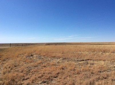 Bette Dolfi Trust Auction - Cheyenne County Farmland - image 2