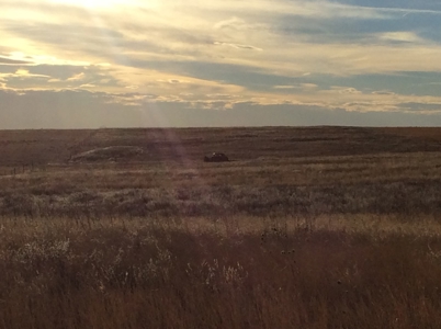 Bette Dolfi Trust Auction - Cheyenne County Farmland - image 6