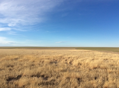 Bette Dolfi Trust Auction - Cheyenne County Farmland - image 12