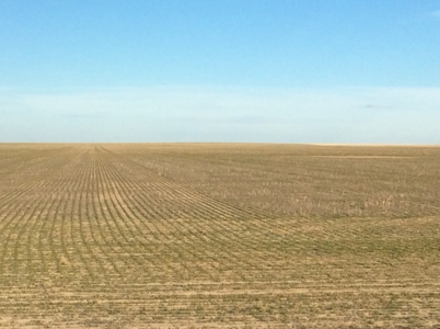 Bette Dolfi Trust Auction - Cheyenne County Farmland - image 21