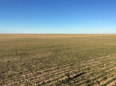 Bette Dolfi Trust Auction - Cheyenne County Farmland - image 19
