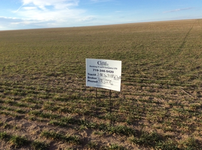 Bette Dolfi Trust Auction - Cheyenne County Farmland - image 16