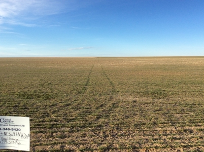 Bette Dolfi Trust Auction - Cheyenne County Farmland - image 18