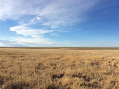 Bette Dolfi Trust Auction - Cheyenne County Farmland - image 13