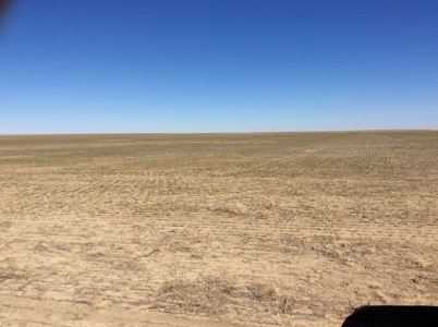 Bette Dolfi Trust Auction - Cheyenne County Farmland - image 11