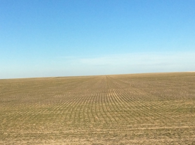 Bette Dolfi Trust Auction - Cheyenne County Farmland - image 23