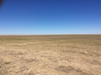 Bette Dolfi Trust Auction - Cheyenne County Farmland - image 9