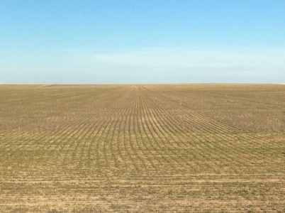 Bette Dolfi Trust Auction - Cheyenne County Farmland - image 20