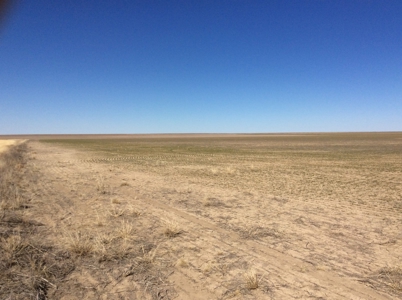 Bette Dolfi Trust Auction - Cheyenne County Farmland - image 10