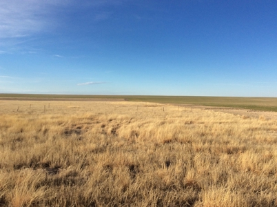 Bette Dolfi Trust Auction - Cheyenne County Farmland - image 15