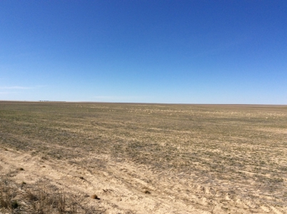 Bette Dolfi Trust Auction - Cheyenne County Farmland - image 8