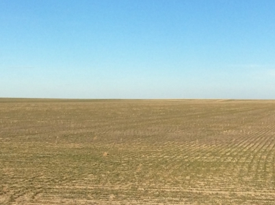 Bette Dolfi Trust Auction - Cheyenne County Farmland - image 22