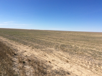 Bette Dolfi Trust Auction - Cheyenne County Farmland - image 6