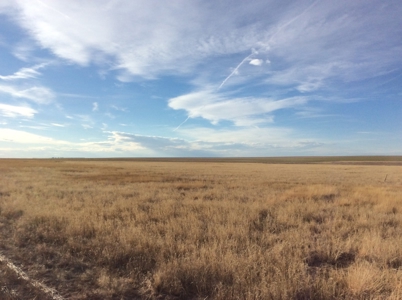 Bette Dolfi Trust Auction - Cheyenne County Farmland - image 14