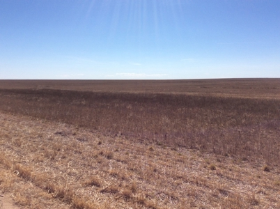 Bette Dolfi Trust Auction  - Cheyenne County Farmland - image 2