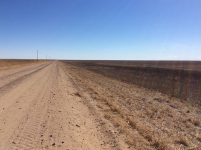 Bette Dolfi Trust Auction  - Cheyenne County Farmland - image 3