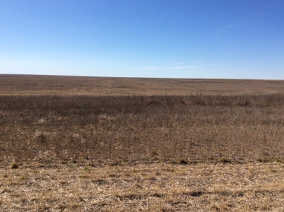 Bette Dolfi Trust Auction  - Cheyenne County Farmland - image 1