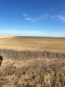 Bette Dolfi Trust Auction  - Cheyenne County Farmland - image 3