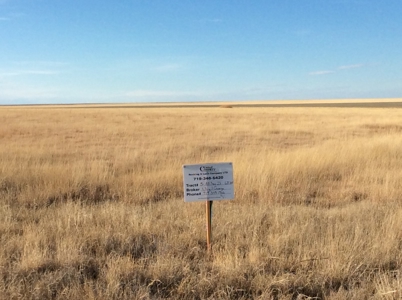 Bette Dolfi Trust Auction  - Cheyenne County Farmland - image 2